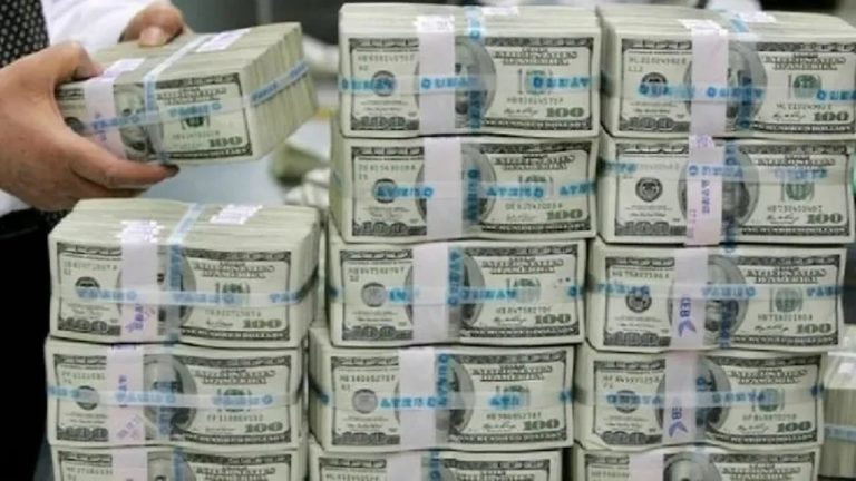 Bankalardaki mevduatın üçte ikisi dolarize