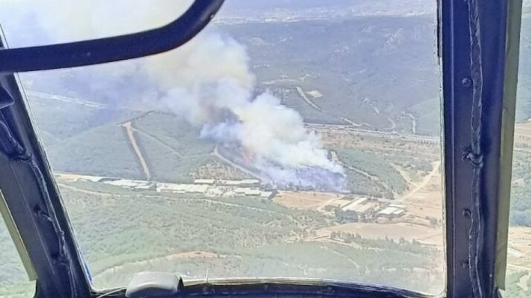 İzmir’de orman yangını
