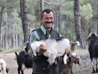 Kenti bırakıp ormana yerleşti