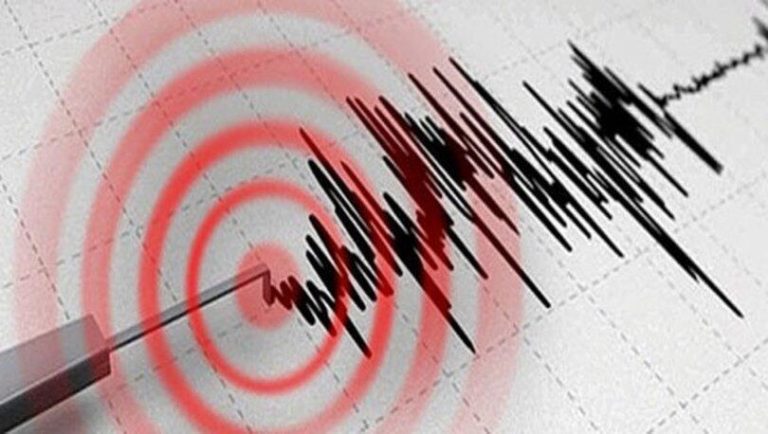 Şili’de 6,8 büyüklüğünde zelzele