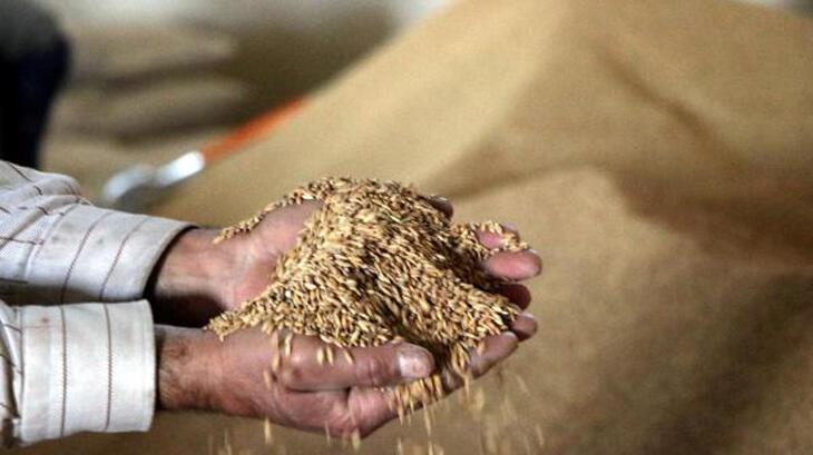 Bakanlık desteğiyle çeltik üretimi, 1 milyon tona çıktı