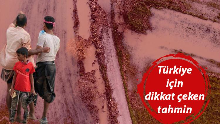 Bilim insanlarından iklim değişikliği ve kürüsel ısınma uyarısı… Türkiye ayrıntısına dikkat çektiler!