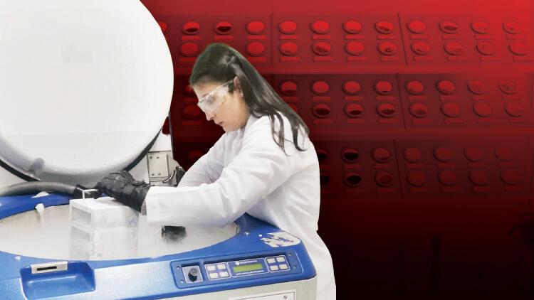 Nuh’un gen bankası! Tümünün yedeği alınıyor… Muhtemel bir felaket halinde…