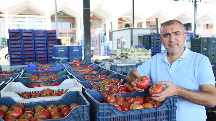 Örtü altı üretim düşünce Avrupalı Antalya’ya yöneldi