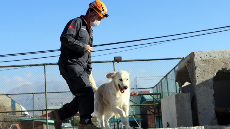 Van’da hassas burun ‘Poyraz’ can kurtarıyor