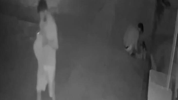 Antalya’da bir garip olay! Poşetle gelip yavru kedileri alıp gidiyor
