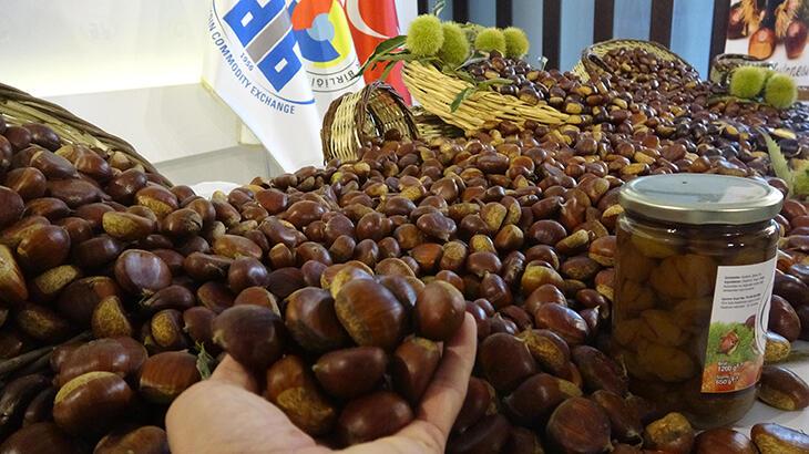 Aydın’da sezonun ilk kestanesi, kilosu 250 liradan alındı