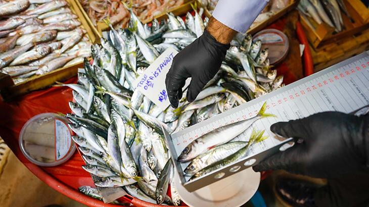 Balıkçılara denetim