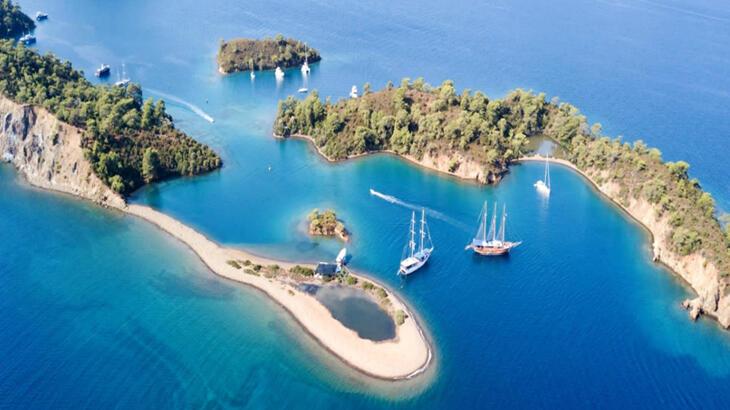 Bakanlık deniz ekosisteminin korunması için harekete geçti