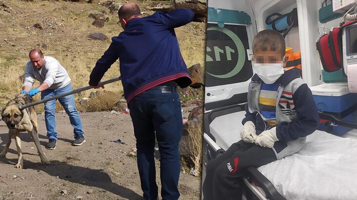 İlçede kuduz paniği! Hastanelik olan 2 çocukla ilgi açıklama geldi: Tanı kesinleşti!