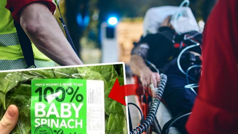 Ispanak yiyenler halüsinasyonlar görmeye başladı…Avustralya’da alarm!
