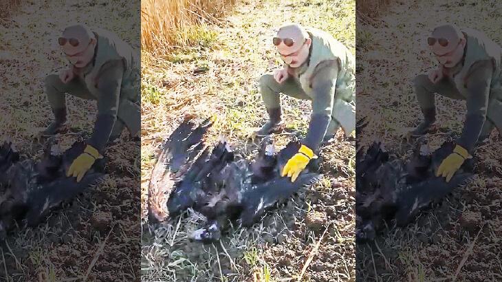 Verici takılı Arda’yı Çatalca’da vurdular