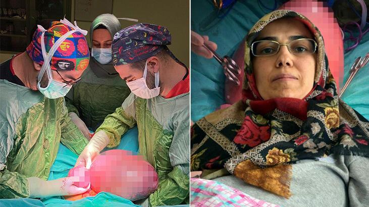 Karnını kapladı, Van’da operasyonla çıkarıldı: Çok nadir görülüyor