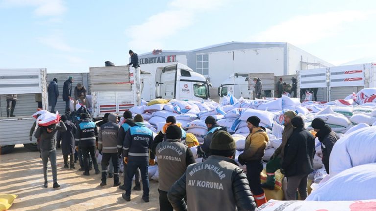 Elbistan’da besicilere fiyatsız yem dağıtıldı