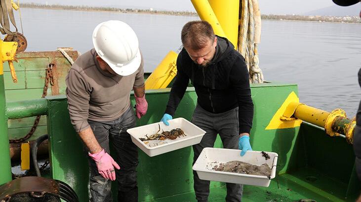 İzmit Körfezi’nde dip çamuru temizliği öncesinde biyoçeşitlilik tespiti