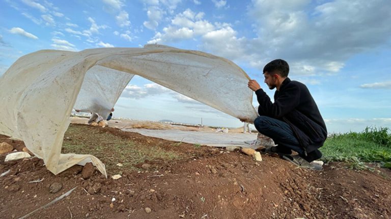 Adıyamanlı depremzede çiftçiler, tütün ekimine başladı