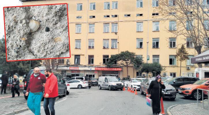 Çapa Tıp binasında midye kabukları