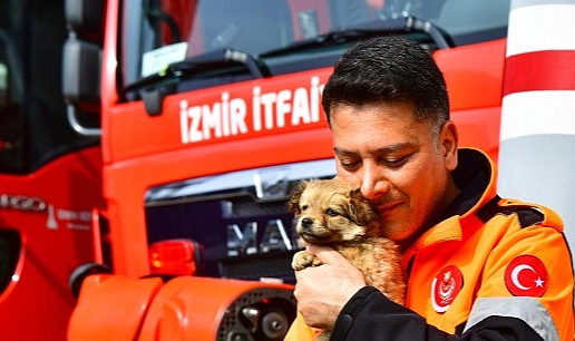 İzmirli itfaiyeci sarsıntı bölgesinden gelen köpeğe yuvasını açtı