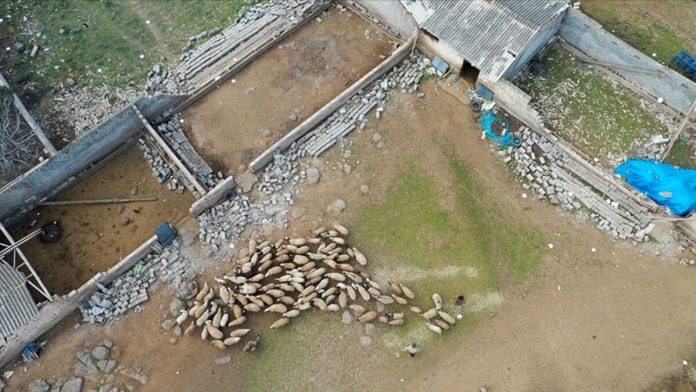 sarsinti-bolgesinde-tarimla-ilgili-11-milyon-tl-hasar-odemesi-yapildi-xEdCEArb.jpg