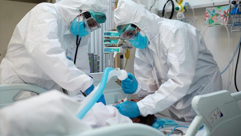 Yeni salgın korkusu! Kuş gribinden sonra şimdi de köpek gribi