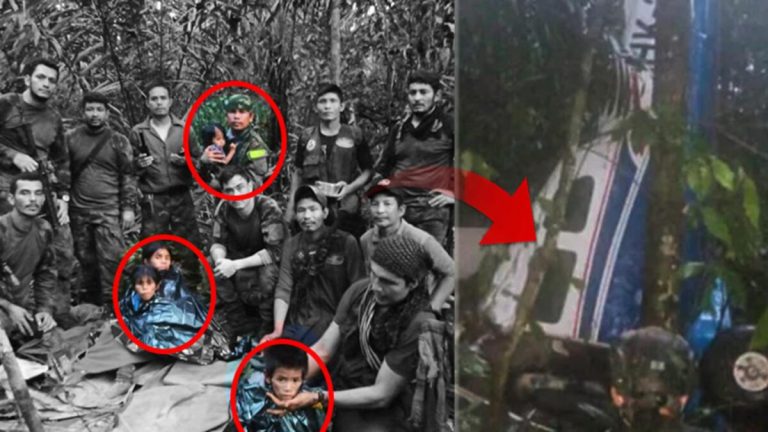 Uçakları düşen 4 çocuk, 40 gün sonra ormanda sağ bulundu! Dünyanın konuştuğu mucize…