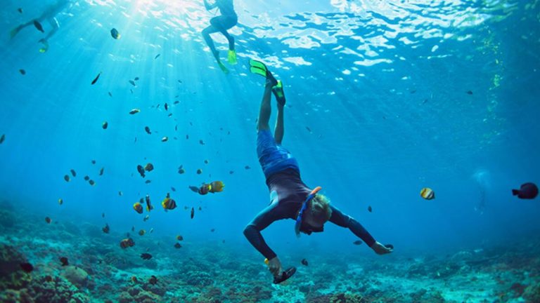 Derinlerden gelen alarm zilleri: Okyanusların sesi bize ne anlatıyor?