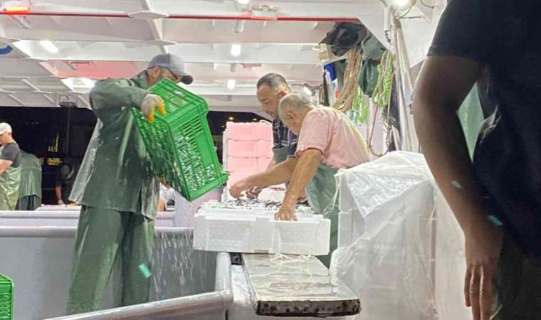 Av yasağı bitti, sezonun ilk balıkları avlandı: ‘Yüzde yüz bir yoğunluk yok ama siftahı yaptık’