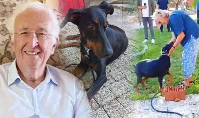Kayıp Ekonomist Korhan Berzeg olayında duygu dolu anlar: Tina ile Angela 77 gün sonra kavuştu…