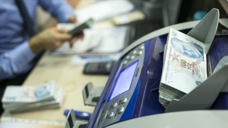İştirakçi sayısı 8,4 milyona ulaştı! Ferdî Emeklilik Sistemi 20 yaşında