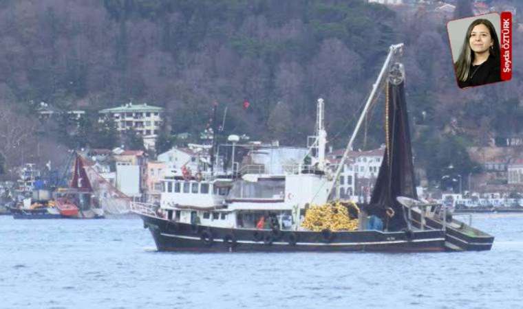 Marmara Denizi’nin ekosistemi için yeni tehlike: Gırgır avı sınırlanmalı