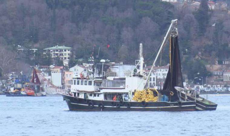 Marmara Denizi’nin ekosistemi için yeni tehlike: Gırgır avı sınırlanmalı