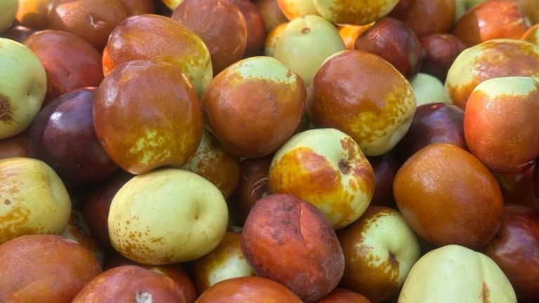 Vefatı dahi erteliyor! Hünnaplı yoğurt yiyin, tesirini görün…