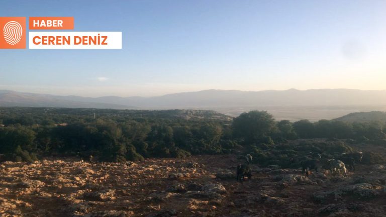 Akdeniz’in tarihi GES tehdidinde: ‘Burası bizim geçmişimiz’