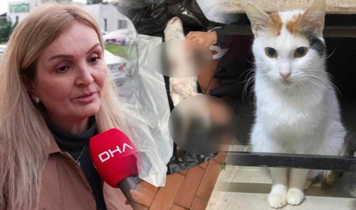 basaksehirde-cicekin-vahsice-oldurulmesine-tepki-KiWGsPWT.jpg
