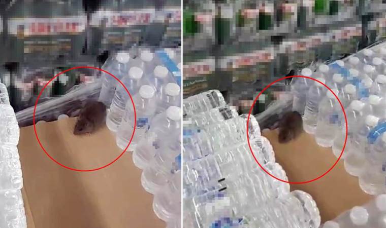 BİM’de şoke eden görüntü: ‘Fare bastı’