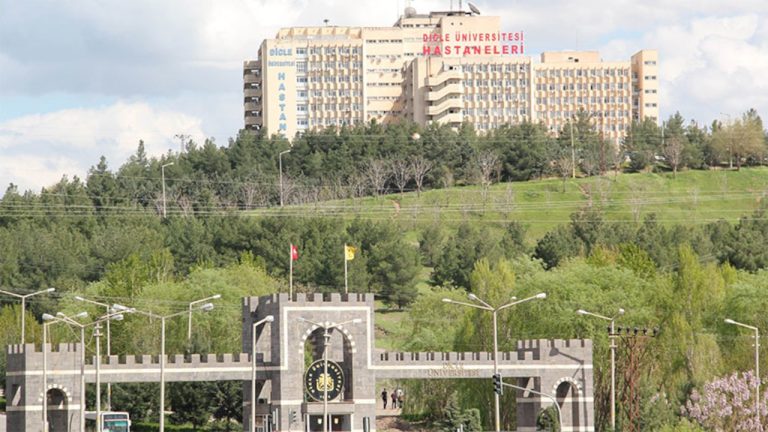 Dicle Üniversitesi’nde kadavrasız tıp eğitimi: ‘Öğrencinin dokuyu görmesi gerekiyor’