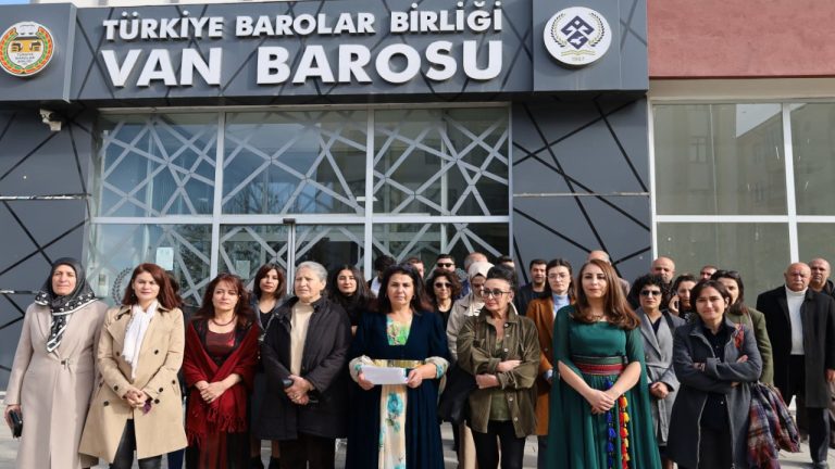 Kadınlardan Van’da ortak açıklama: Kadına yönelik şiddet politiktir