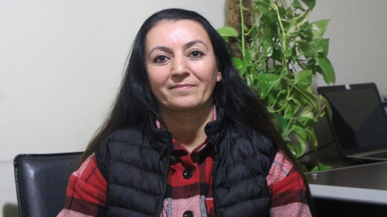 7 yıl 6 aylık hapsin gerekçesi: Newroz konuşması, kitap ve haber