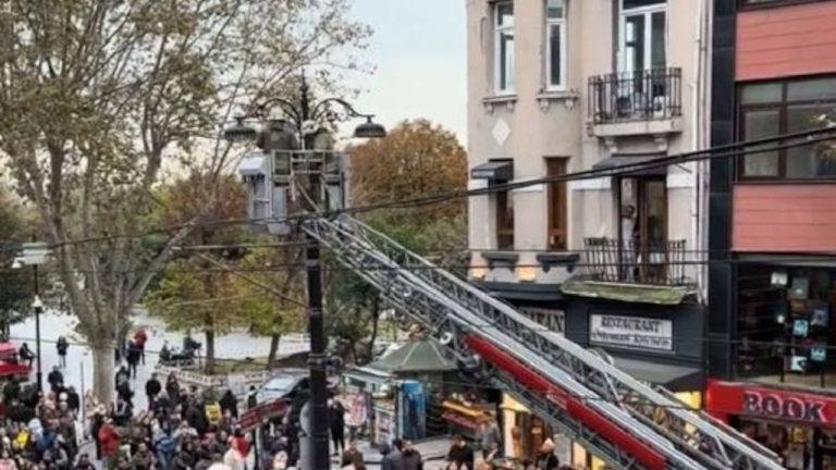 Fatih’te martı kurtarma operasyonu