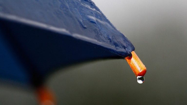 Kasımda, 67 merkezde ekstrem sıcaklık rekoru kırıldı