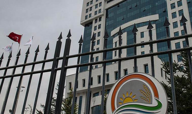 Tarım ve Orman Bakanlığı personel alımı ayrıntıları belli oldu! Tarım ve Orman Bakanlığı personel alımı hangi mesleklerden olacak? İşte kadro dağılımı