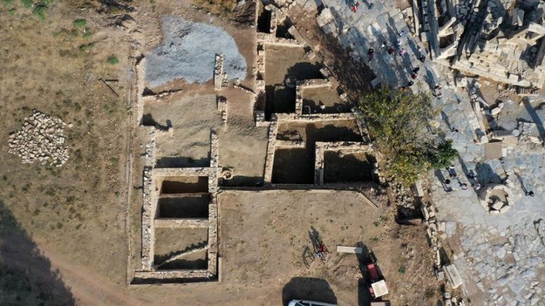 İzmir’de heyecan yaratan keşif: Anadolu’nun en eski ‘bardacık’ çekirdekleri bulundu