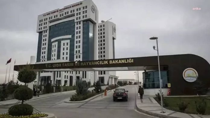 sap-hastaligina-karsi-rutin-olarak-uygulanan-asi-sayisi-3e-cikarildi-49hWi3J9.jpg