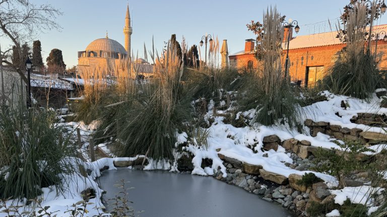 Trakya’da soğuk hava süs havuzlarını dondurdu