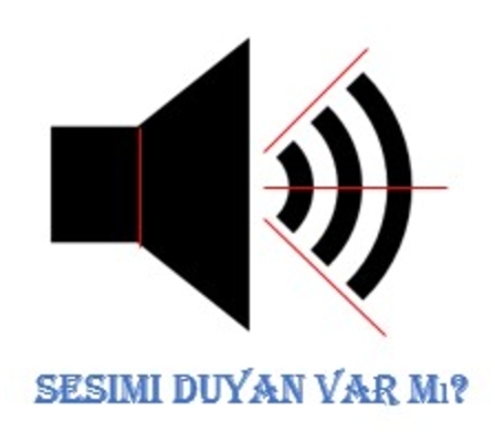 Çığ ve Çığda Arama Kurtarma-I