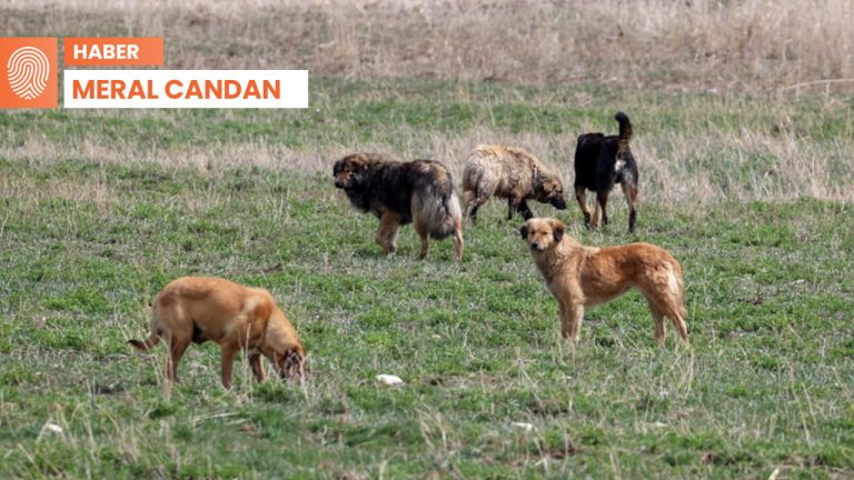 Mahkemeden hayvanseverler için emsal nitelikte ‘kişisel veri’ kararı