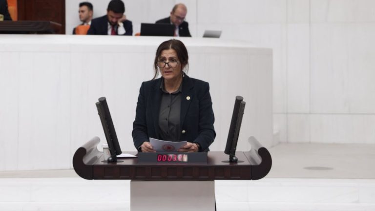 Meclis konuşmasında Kürtçe kelime geçen Elçi’nin mikrofonu kapatıldı