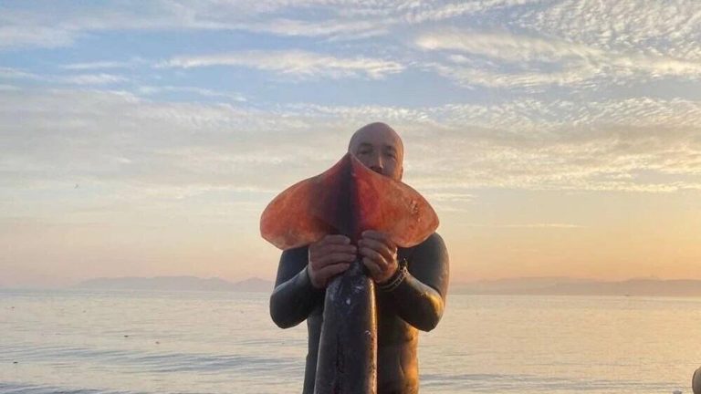 Ayvalık’ta dev uçan kalamar avı: ‘Bana saldırmaya hazırlandığı sırada hızlı davrandım’