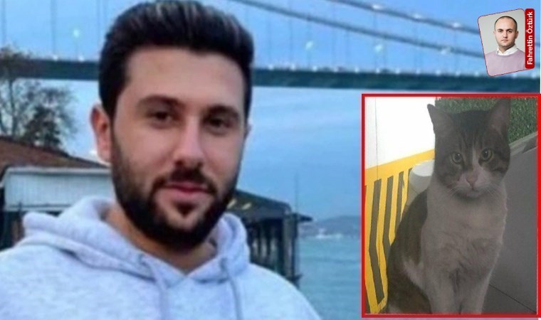 Kedi Eros’u canice katletti: İndirim ve tutuklanmamasının gerekçesi açıklandı