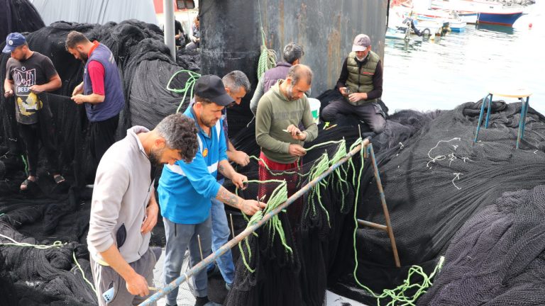 Balık azalınca Tekirdağlı balıkçılar erken paydos etti